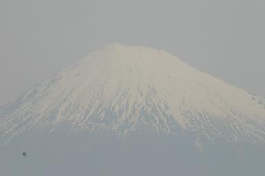 富士山なんだってば